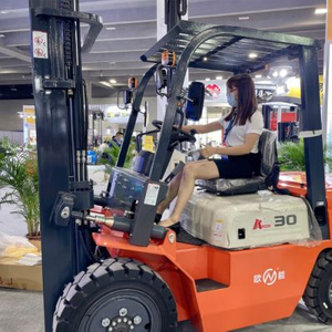 Long Life Using Factory Price Construction Forklift with ISO Tested
